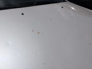 2008 Cadillac CTS Standard - Primary Damage Straight On Image